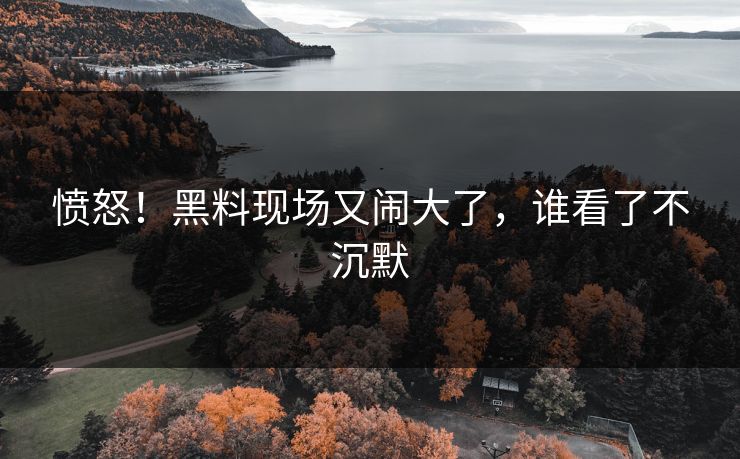 愤怒！黑料现场又闹大了，谁看了不沉默
