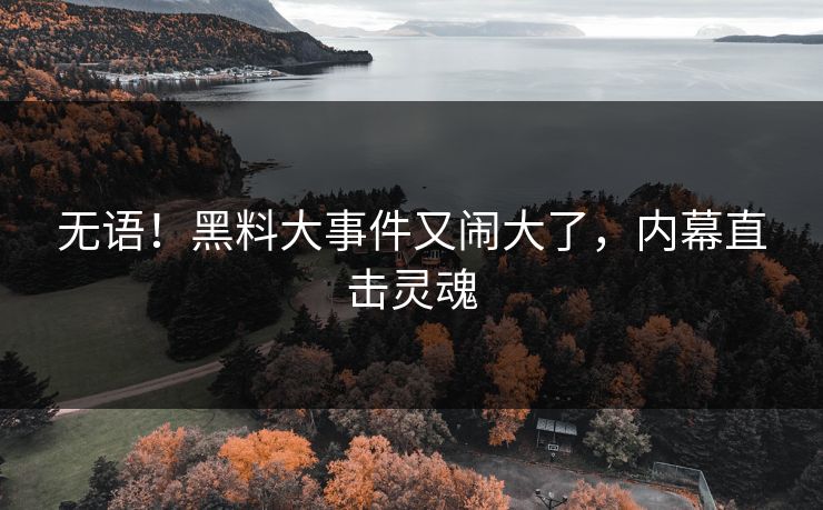 无语！黑料大事件又闹大了，内幕直击灵魂