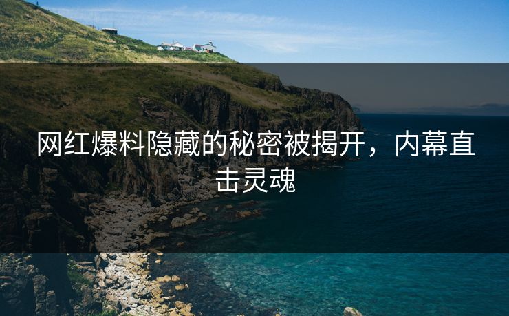网红爆料隐藏的秘密被揭开，内幕直击灵魂