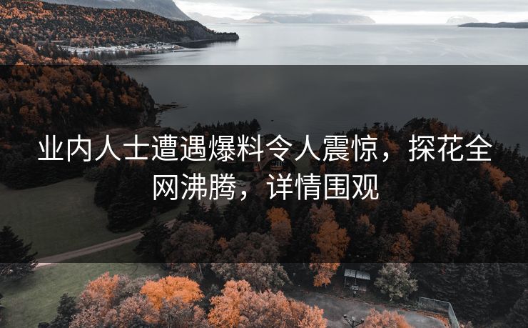 业内人士遭遇爆料令人震惊，探花全网沸腾，详情围观