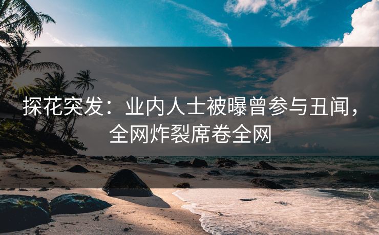 探花突发：业内人士被曝曾参与丑闻，全网炸裂席卷全网