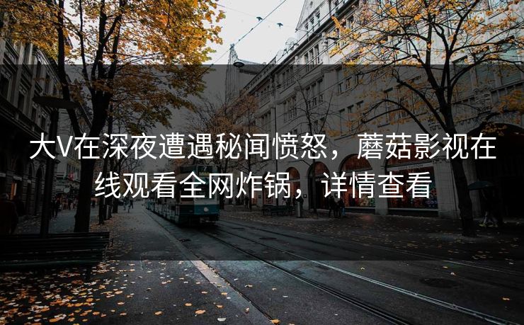 大V在深夜遭遇秘闻愤怒，蘑菇影视在线观看全网炸锅，详情查看