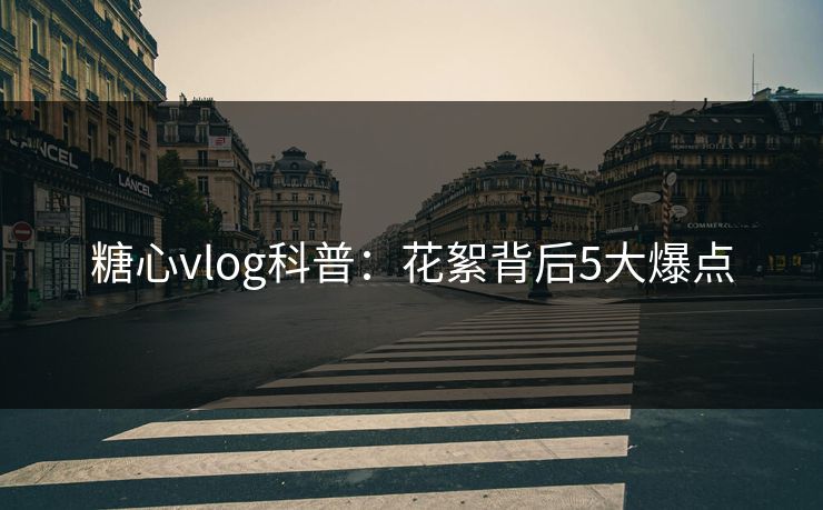 糖心vlog科普：花絮背后5大爆点