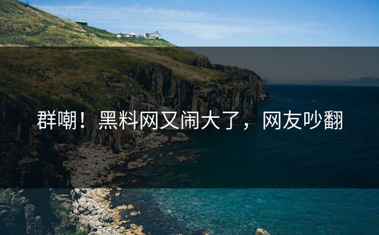 群嘲！黑料网又闹大了，网友吵翻