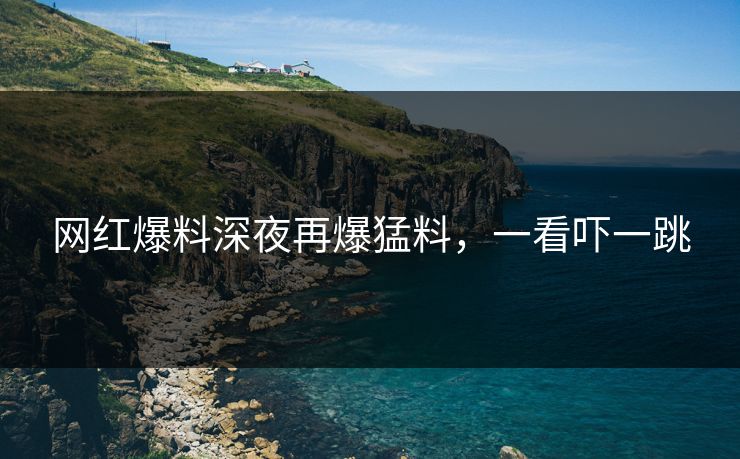 网红爆料深夜再爆猛料，一看吓一跳