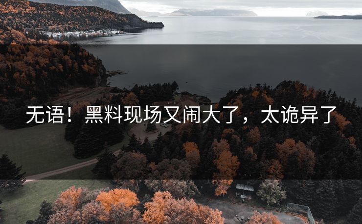 无语！黑料现场又闹大了，太诡异了