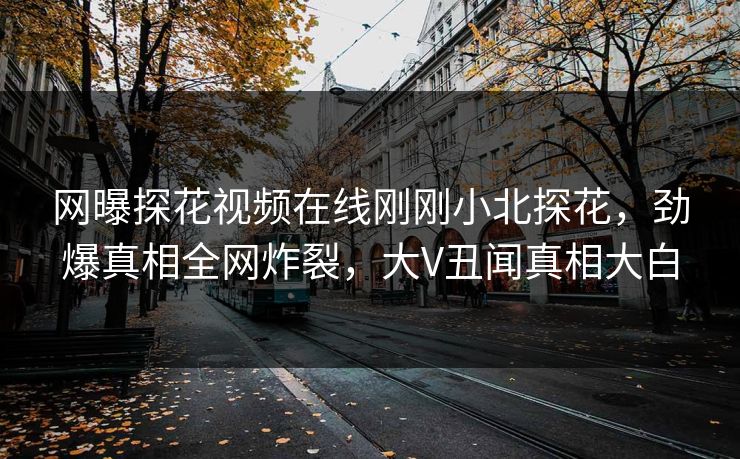 网曝探花视频在线刚刚小北探花，劲爆真相全网炸裂，大V丑闻真相大白