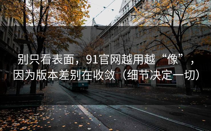 别只看表面，91官网越用越“像”，因为版本差别在收敛（细节决定一切）